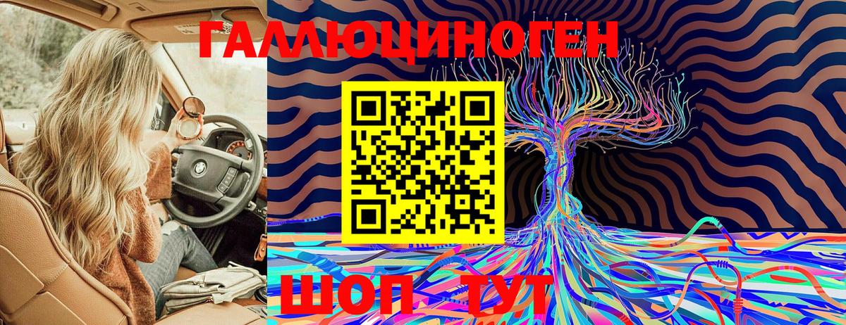 Псилоцибиновые грибы Psilocybe Феодосия